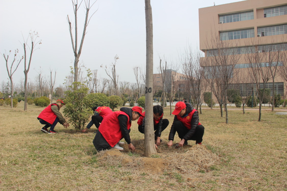 体育学院开展以“你我植树添绿、建设美丽南师”为主题的义务植树活动.jpg