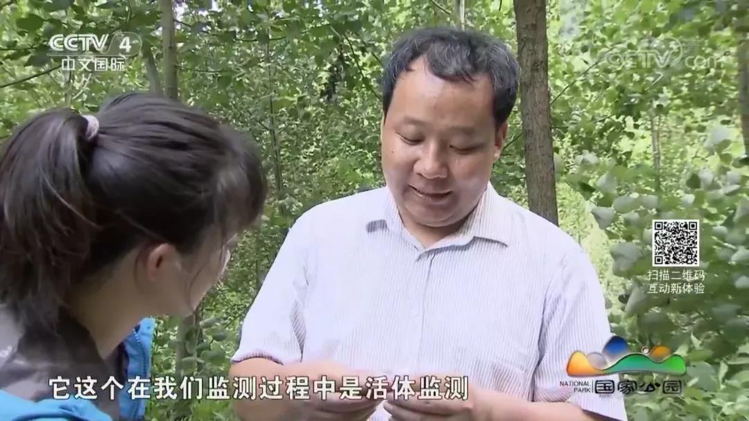 武福华老师在节目中.jpg