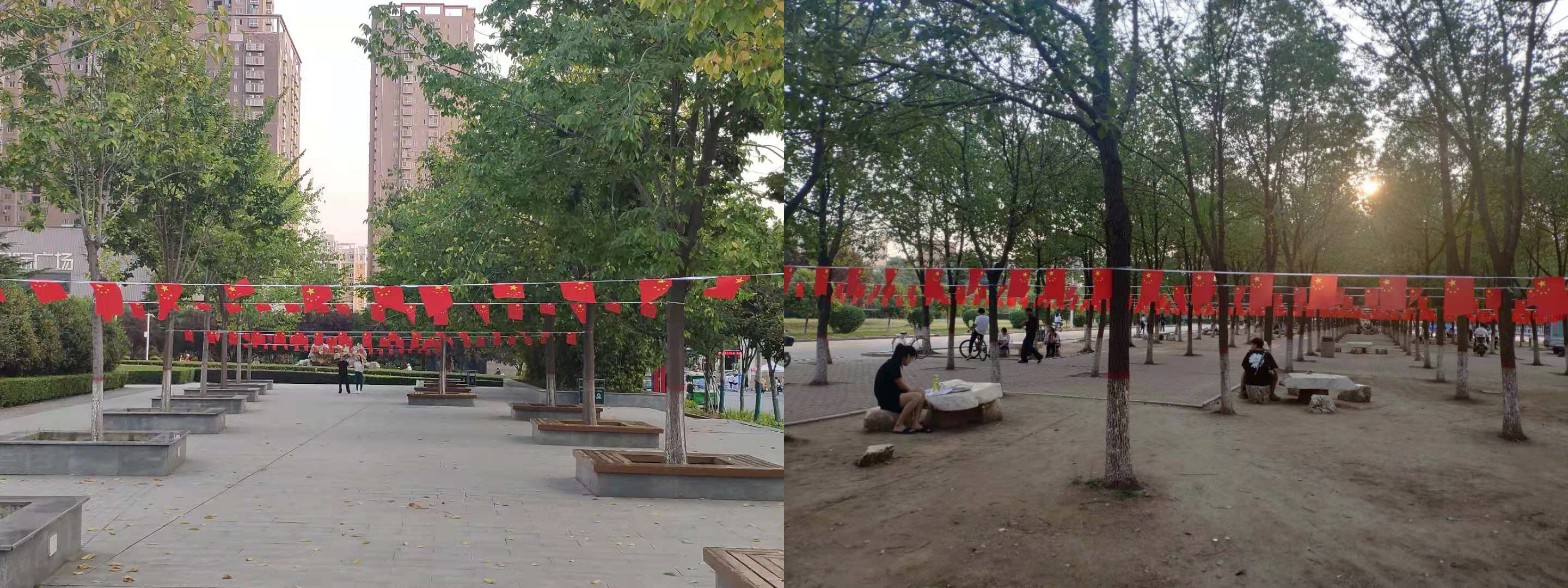 校园国旗林.jpg
